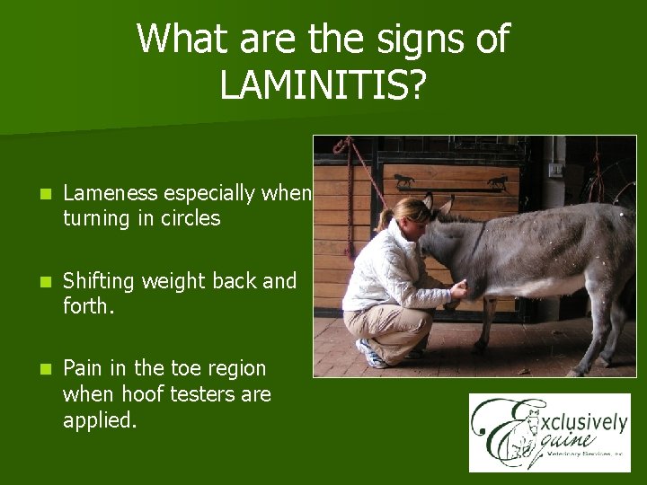 What are the signs of LAMINITIS? n Lameness especially when turning in circles n
