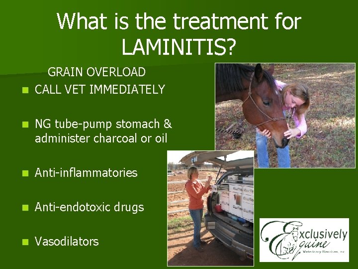 What is the treatment for LAMINITIS? GRAIN OVERLOAD n CALL VET IMMEDIATELY n NG