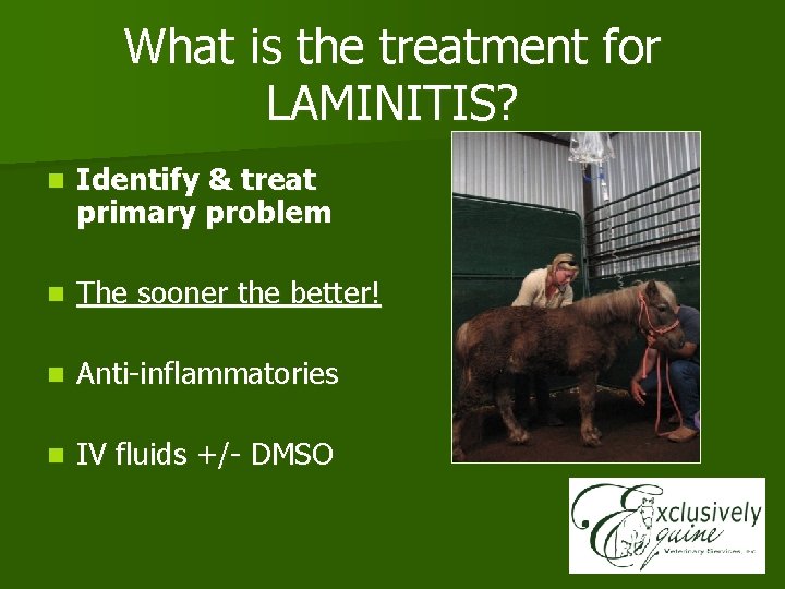 What is the treatment for LAMINITIS? n Identify & treat primary problem n The
