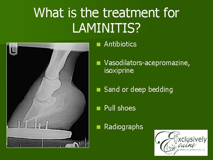 What is the treatment for LAMINITIS? n Antibiotics n Vasodilators-acepromazine, isoxiprine n Sand or