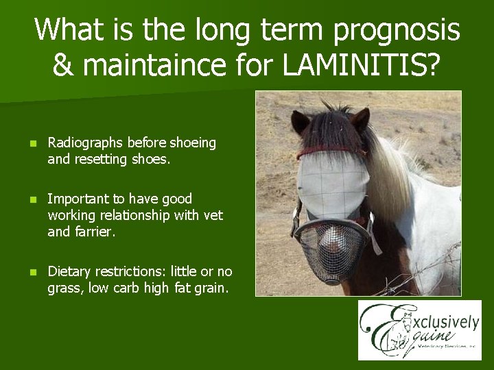 What is the long term prognosis & maintaince for LAMINITIS? n Radiographs before shoeing