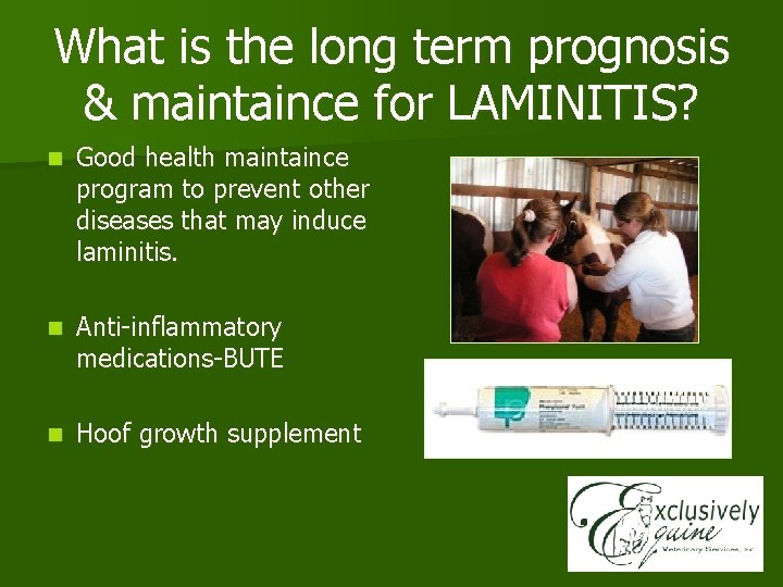 What is the long term prognosis & maintaince for LAMINITIS? n Good health maintaince