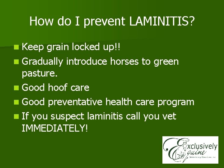 How do I prevent LAMINITIS? n Keep grain locked up!! n Gradually introduce horses