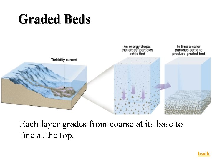 Graded Beds Each layer grades from coarse at its base to fine at the Graded Beds Each layer grades from coarse at its base to fine at the