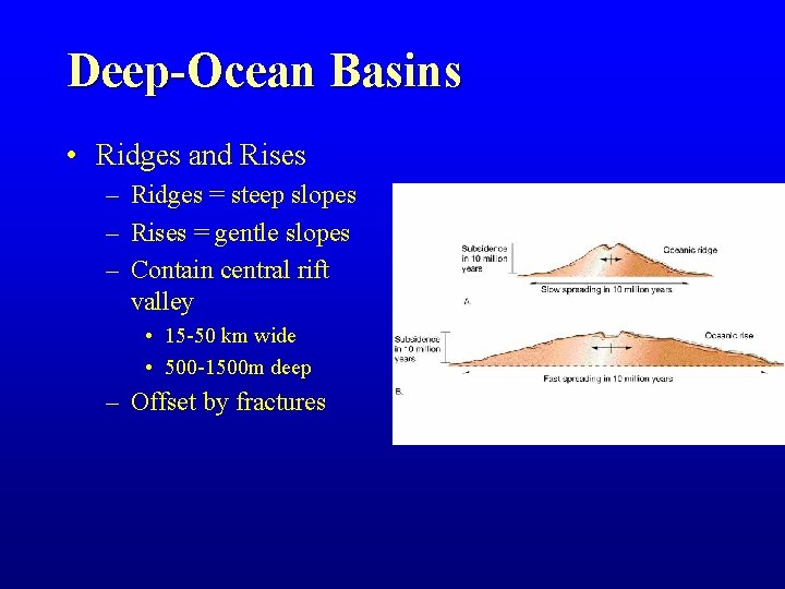 Deep-Ocean Basins • Ridges and Rises – Ridges = steep slopes – Rises = Deep-Ocean Basins • Ridges and Rises – Ridges = steep slopes – Rises =