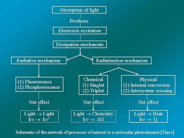 Absorption of light Produces Electronic excitation Dissipation mechanism Radiative mechanism Radiationless mechanism (1) Fluorescence