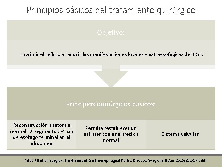 Principios básicos del tratamiento quirúrgico Objetivo: Suprimir el reflujo y reducir las manifestaciones locales