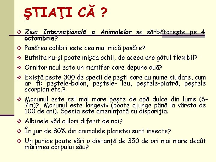 ŞTIAŢI CĂ ? v Ziua Internaţională a Animalelor se sărbătoreşte pe 4 octombrie? v