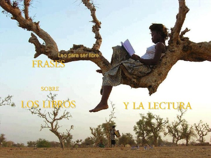 FRASES SOBRE LOS LIBROS Y LA LECTURA 