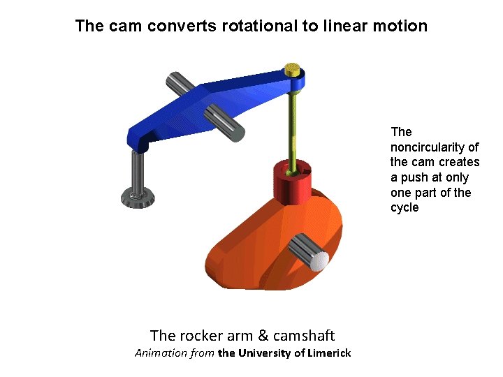 The cam converts rotational to linear motion The noncircularity of the cam creates a