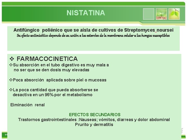 NISTATINA Antifúngico poliénico que se aísla de cultivos de Streptomyces noursei Su efecto antimicótico