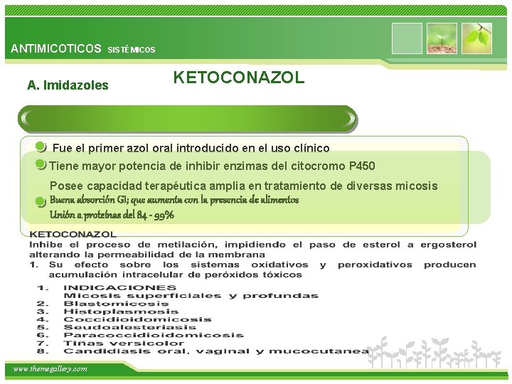 ANTIMICOTICOS SISTÉMICOS A. Imidazoles KETOCONAZOL Fue el primer azol oral introducido en el uso