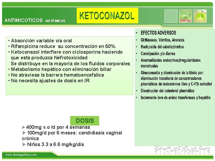 ANTIMICOTICOS SISTÉMICOS • Absorción variable vía oral • Rifampicina reduce su concentración en 50%