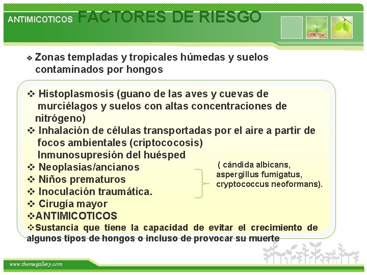 ANTIMICOTICOS FACTORES DE RIESGO v Zonas templadas y tropicales húmedas y suelos contaminados por