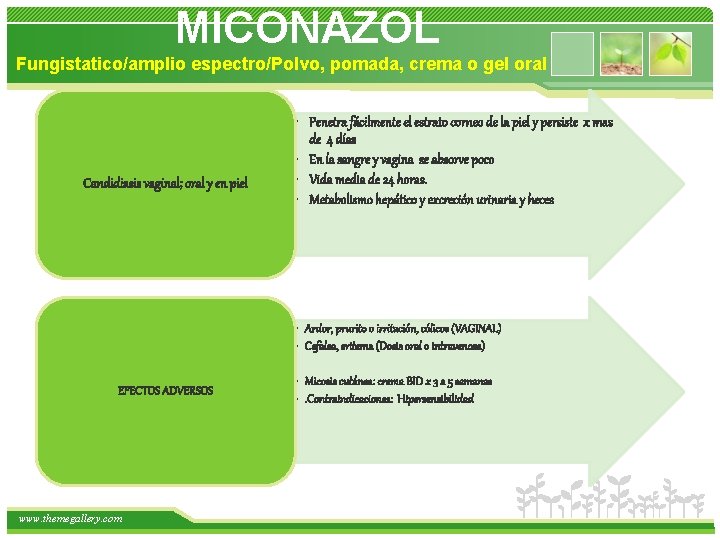  MICONAZOL Fungistatico/amplio espectro/Polvo, pomada, crema o gel oral Candidiasis vaginal; oral y en