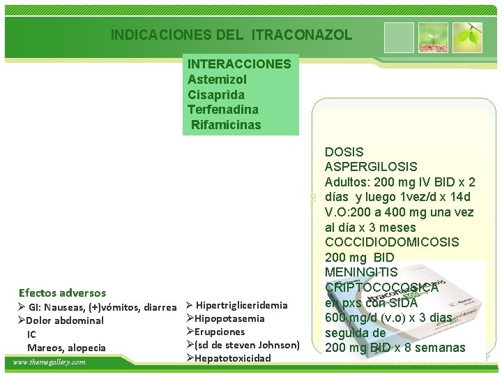  INDICACIONES DEL ITRACONAZOL INTERACCIONES Astemizol Cisaprida Terfenadina Rifamicinas DOSIS ASPERGILOSIS Adultos: 200 mg