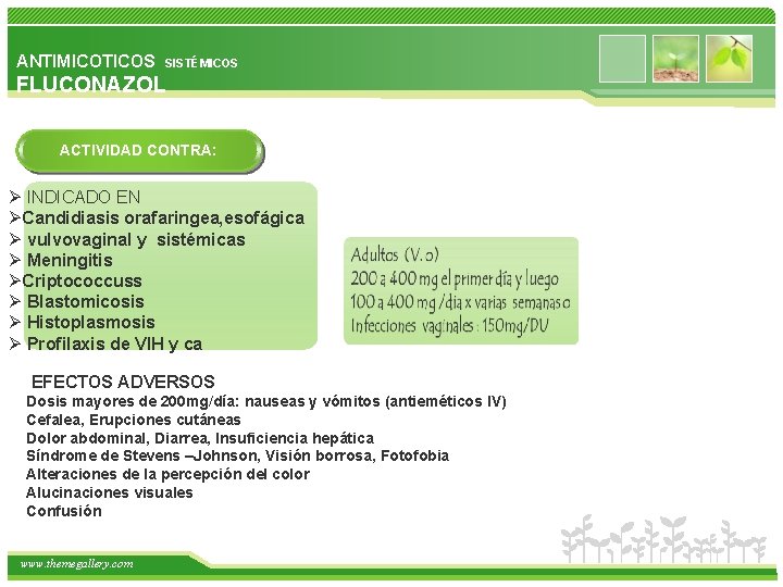 ANTIMICOTICOS SISTÉMICOS FLUCONAZOL ACTIVIDAD CONTRA: Ø INDICADO EN ØCandidiasis orafaringea, esofágica Ø vulvovaginal y