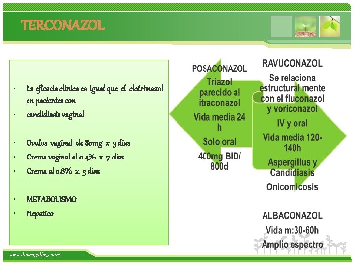 TERCONAZOL • • La eficacia clínica es igual que el clotrimazol en pacientes con