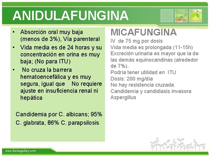 ANIDULAFUNGINA • Absorción oral muy baja (menos de 3%), Vía parenteral • Vida media