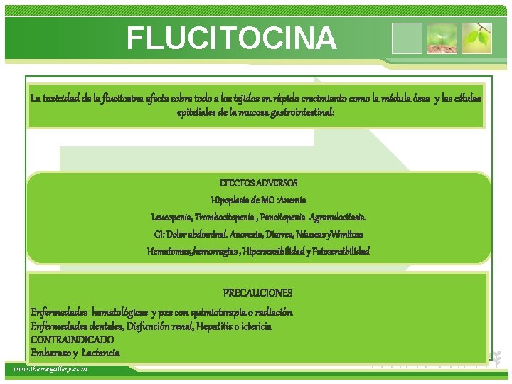  FLUCITOCINA La toxicidad de la flucitosina afecta sobre todo a los tejidos en