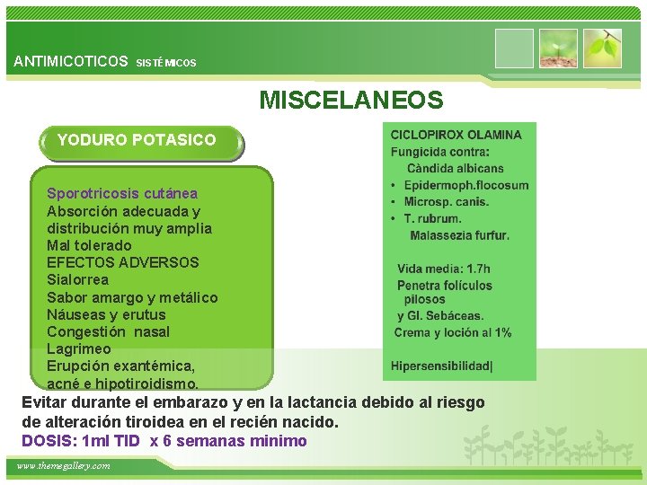 ANTIMICOTICOS SISTÉMICOS MISCELANEOS YODURO POTASICO Sporotricosis cutánea Absorción adecuada y distribución muy amplia Mal