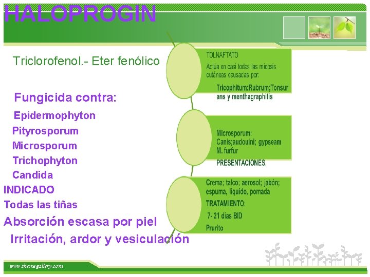 HALOPROGIN Triclorofenol. - Eter fenólico halogenado Fungicida contra: Epidermophyton Pityrosporum Microsporum Trichophyton Candida INDICADO