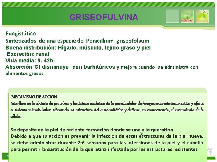  GRISEOFULVINA Fungistático Sintetizados de una especie de Penicillium griseofolvum Buena distribución: Hígado, músculo,