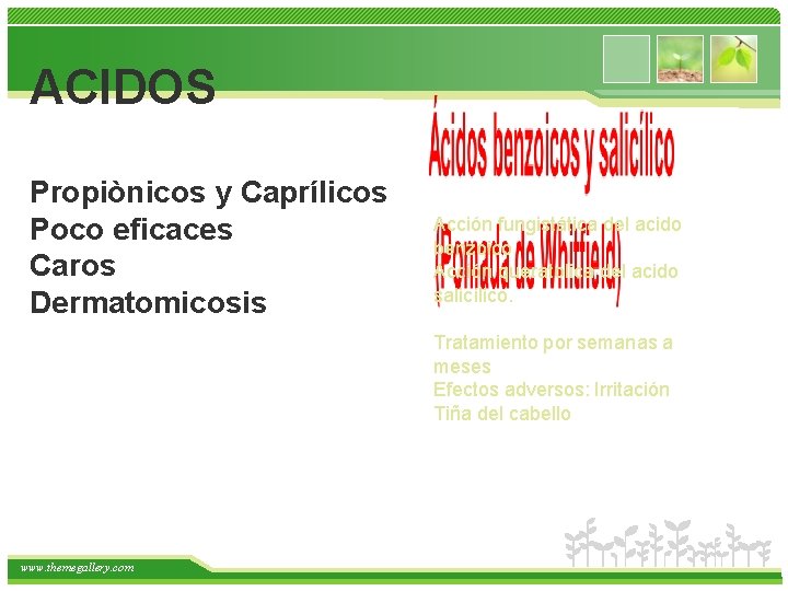 ACIDOS Propiònicos y Caprílicos Poco eficaces Caros Dermatomicosis Acción fungistática del acido benzoico Acción