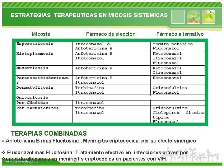 ESTRATEGIAS TERAPEUTICAS EN MICOSIS SISTEMICAS Micosis Fármaco de elección Fármaco alternativo TERAPIAS COMBINADAS v