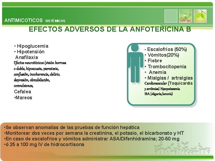 ANTIMICOTICOS SISTÉMICOS EFECTOS ADVERSOS DE LA ANFOTERICINA B • Hipoglucemia • Hipotensión Anafilaxia Efectos