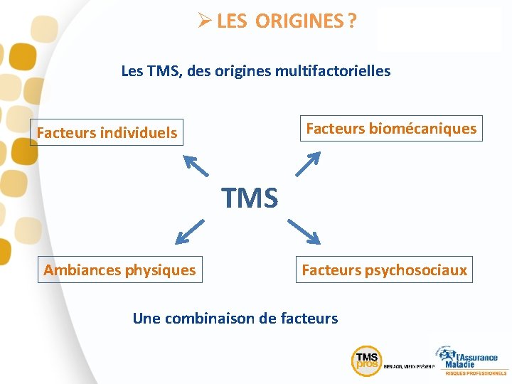 Ø LES ORIGINES ? Les TMS, des origines multifactorielles Facteurs biomécaniques Facteurs individuels TMS