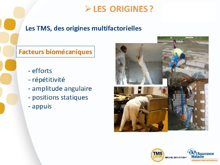 Ø LES ORIGINES ? Les TMS, des origines multifactorielles Facteurs biomécaniques - efforts -