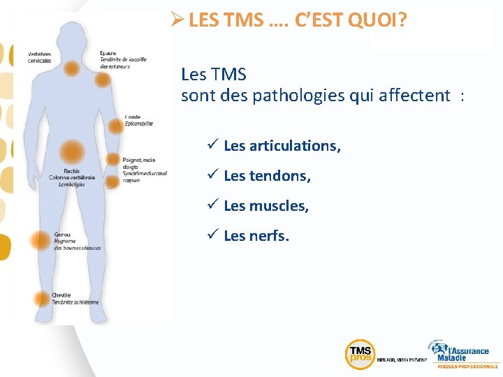 Ø LES TMS …. C’EST QUOI? Que sont les TMS ? Les TMS sont