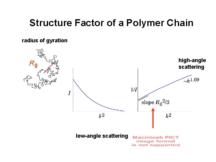 Structure Factor of a Polymer Chain radius of gyration high-angle scattering Rg low-angle scattering