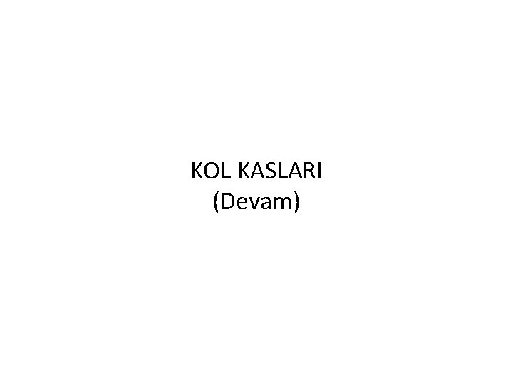 KOL KASLARI (Devam) 