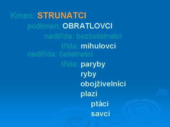 Kmen: STRUNATCI podkmen: OBRATLOVCI nadtřída: bezčelistnatci třída: mihulovci nadtřída: čelistnatci třída: paryby obojživelníci plazi