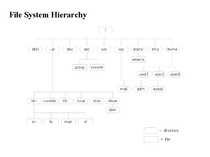 File System Hierarchy 