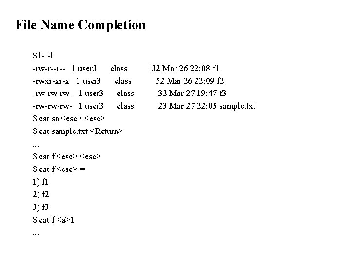 File Name Completion $ ls -l -rw-r--r-- 1 user 3 class -rwxr-xr-x 1 user