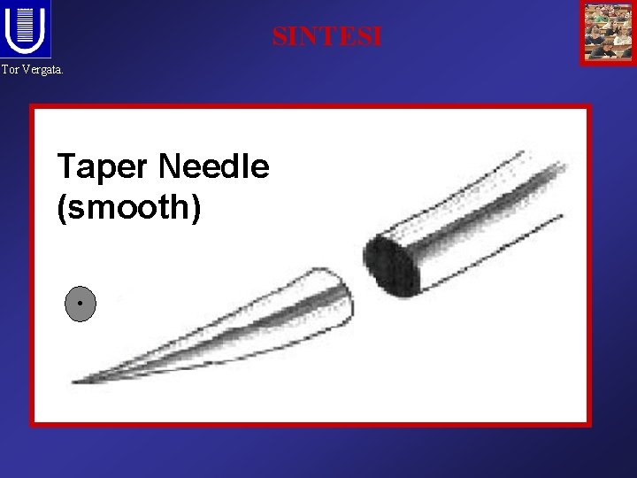 SINTESI Tor Vergata. 