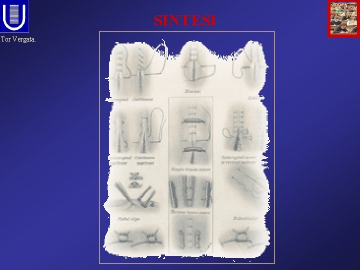 SINTESI Tor Vergata. 