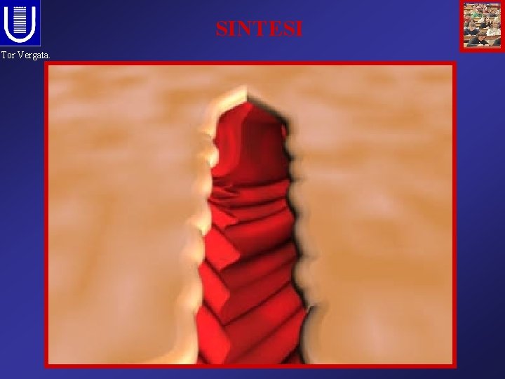 SINTESI Tor Vergata. 