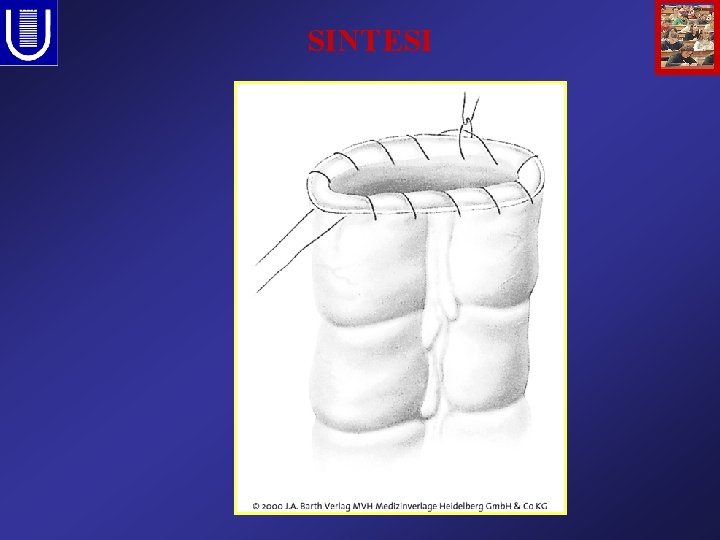 SINTESI 