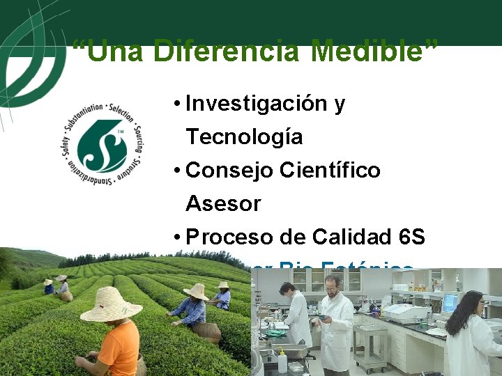 “Una Diferencia Medible” • Investigación y Tecnología • Consejo Científico Asesor • Proceso de