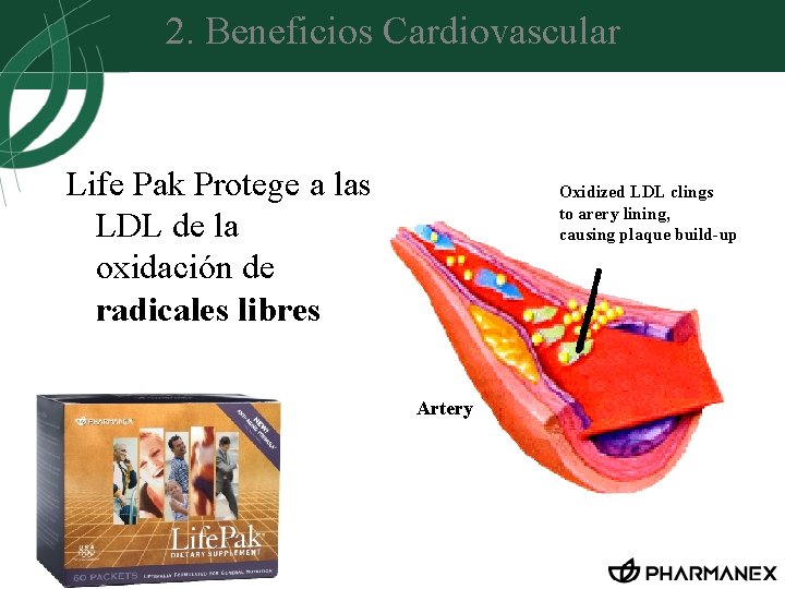 2. Beneficios Cardiovascular Life Pak Protege a las LDL de la oxidación de radicales