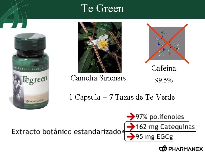 Te Green Cafeína Camelia Sinensis 99. 5% 1 Cápsula = 7 Tazas de Té