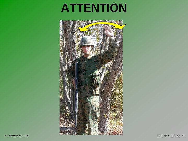 ATTENTION 07 November 2003 ICS 0903 Slide 17 