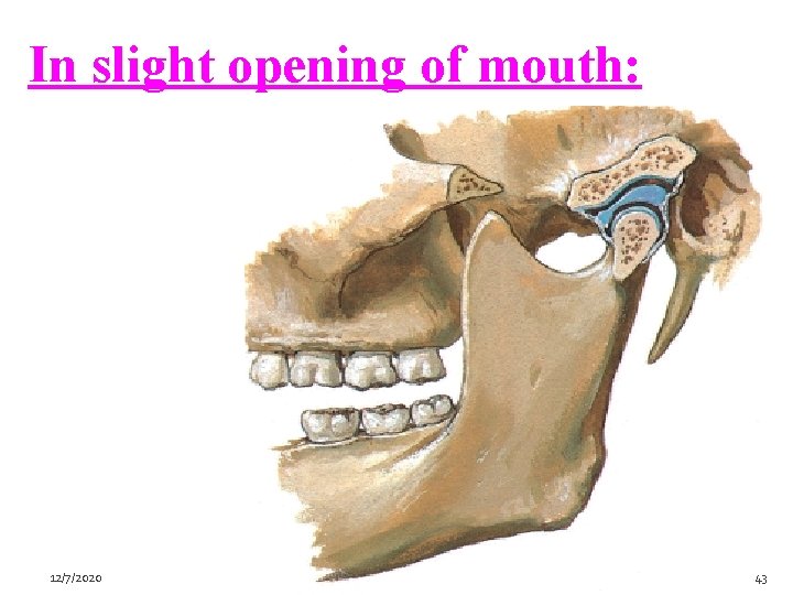 In slight opening of mouth: 12/7/2020 43 