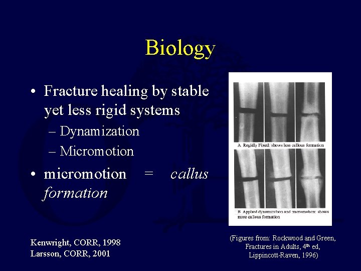 Biology • Fracture healing by stable yet less rigid systems – Dynamization – Micromotion