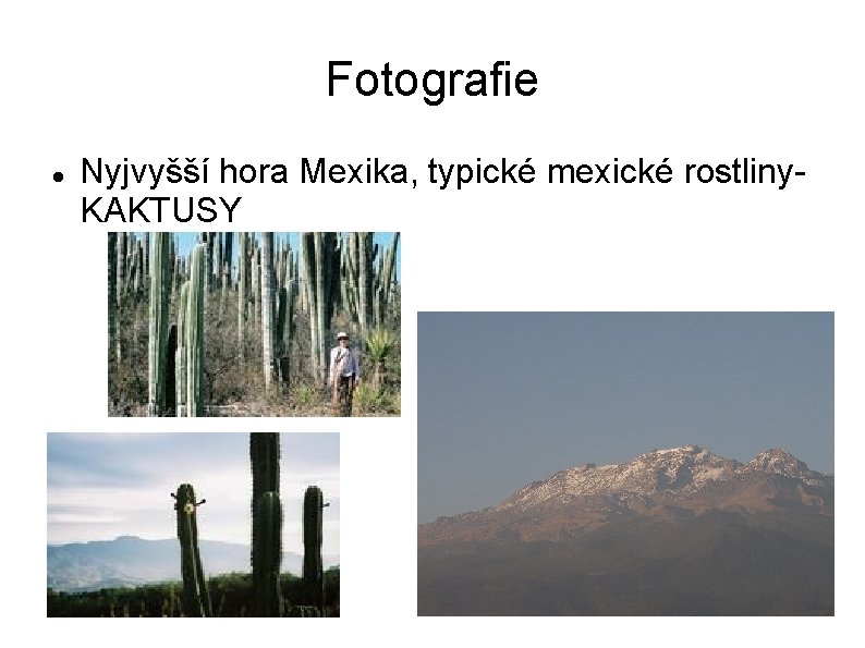 Fotografie Nyjvyšší hora Mexika, typické mexické rostliny. KAKTUSY 