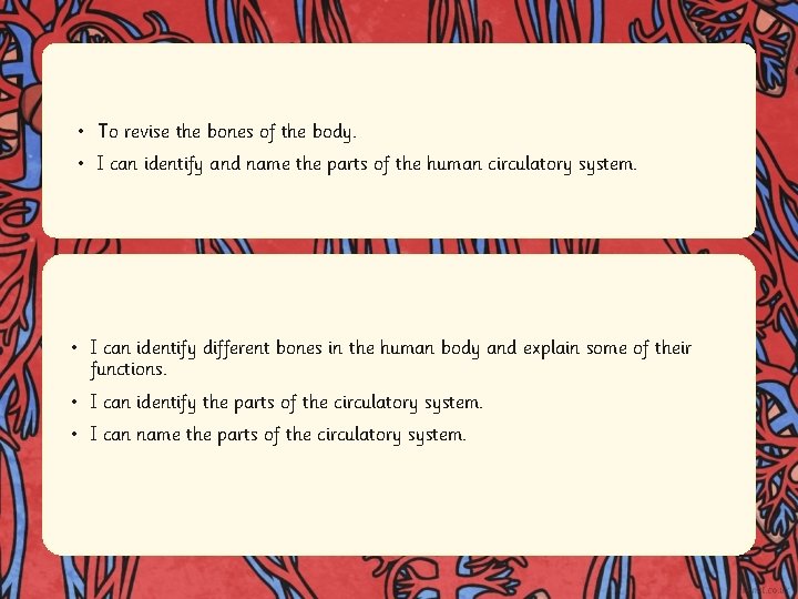  • To revise the bones of the body. • I can identify and